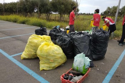 Bolsas de los residuos recogidos en los alrededores del Hospital Sant Joan de Reus.