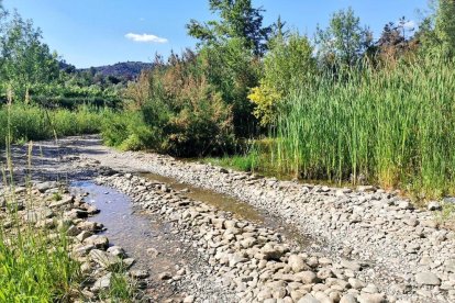 El río Siurana a su paso para|por Torroja.