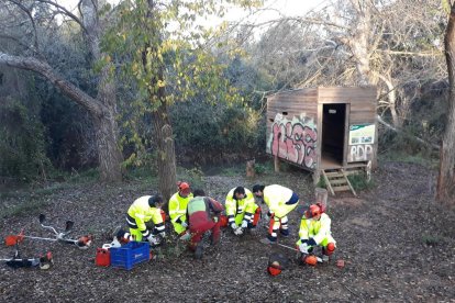 Los participantes en el plan de empleo de la Diputación de Tarragona al Montsià.