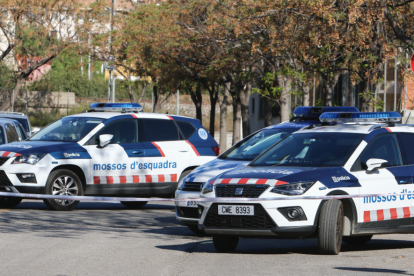 Varias patrullas de los Mossos d'Esquadra.