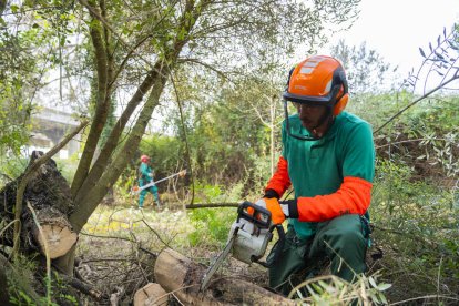 Dos de los trabajadores que participan en la limpieza del sotobosque en el marco del plan de empleo.