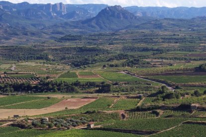 El Banco de Tierras EbreBiosfera quiere ser una herramienta para evitar el abandono agrario y el despoblamiento rural.