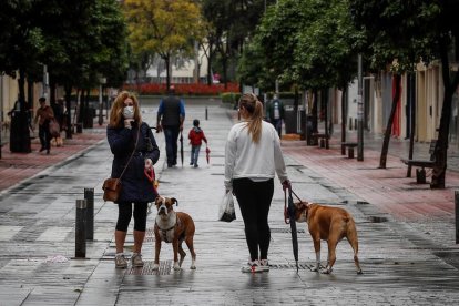 Dos chicas paseando sus perros.