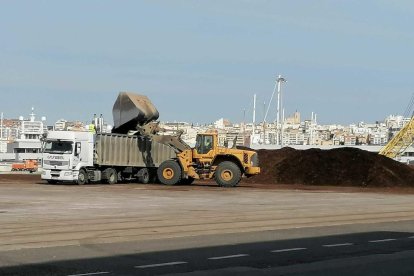 Se han retirado 12.626 toneladas de astillas de madera ubicadas en los muelles de Navarra y de Aragó.