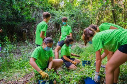 Jóvenes del Campo de trabajo del 2020 durante los trabajos de recuperación de los torrentes.