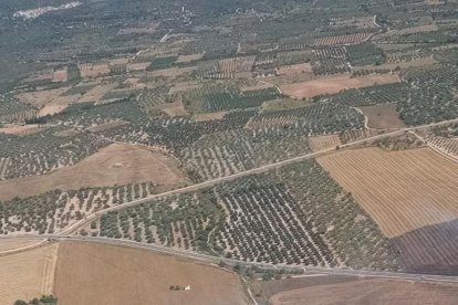 Imatge aèria de la zona afectada per l'incendi agrícola de Godall.