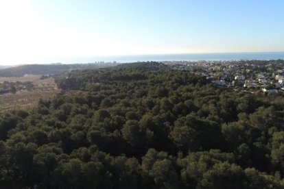 Panoràmica del sector Sud 5 