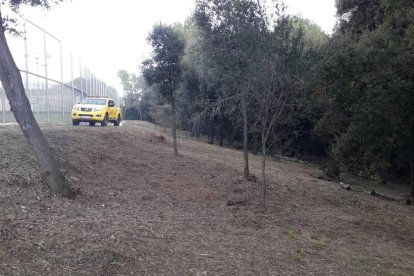 Treballs de prevenció d'incendis realitzats aquest desembre pel Grup Especial de Prevenció d'Incendis.