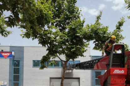 Imagen del incendio del taller, donde ha perdido la vida a un bombero.