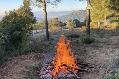 Una crema de restes forestals a les Gavarres, aquest hivern.