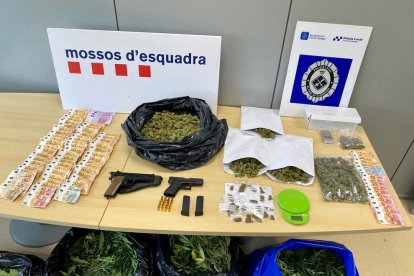 Diners, armes, cabdells de marihuana i plantes decomissades.