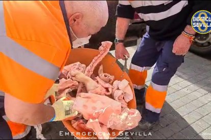 Moment de la retirada de carn en mal estat.