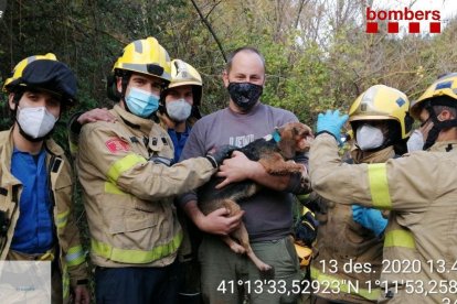 Els efectius de Bombers, el gos rescatat i el seu amo.