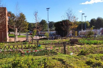 Imatge d'un hort urbà al barri de Sant Salvador.