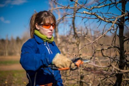 Una dona treballant en una explotació agrària, en una imatge d'arxiu.