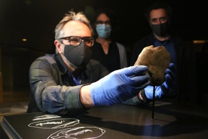 El conservador Antoni Palomo col·loca la placa de pedra de finals del Paleolític Superior descoberta recentment.