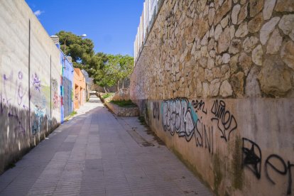 Al fons de la imatge es pot veure la zona enjardinada on es posen els individus que cansen els veïns.