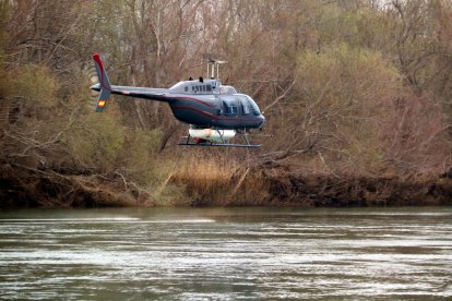 L'helicòpter que ha fet els primers tractaments contra la mosca negra a l'embarcador de l'assut de Xerta.