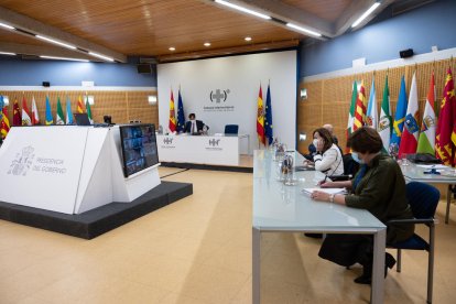 Pla general de la reunió telemàtica del Consell Interterritorial de Salut.