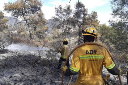 ADF de l'Espluga de Francolí treballant en l'incendi.