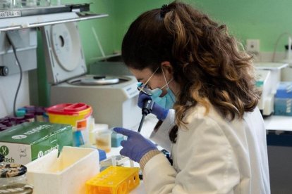 Una investigadora en el laboratorio del CNBA-CSIC.