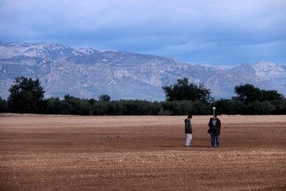 Els terrenys on es projecta la planta de compostatge a Santa Bàrbara.