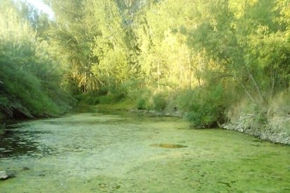 Zona del río Siurana a su paso por Poboleda.