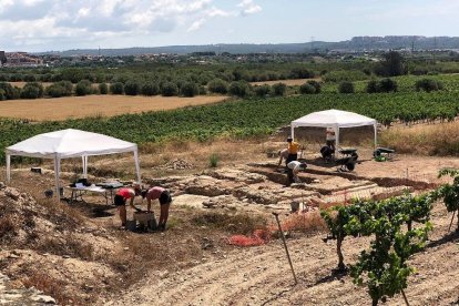 Imagen de la excavación romana de Mas dels Frares.