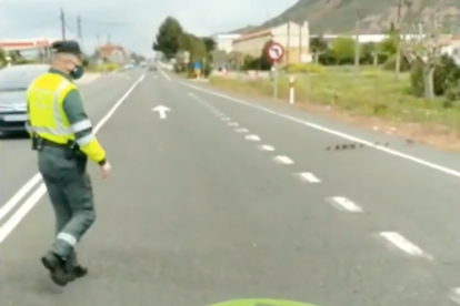 Instante en que los patos cruzan la carretera.