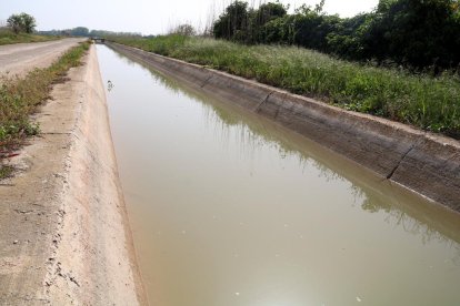 Un dels canals de l'hemidelta dret que porta l'aigua fins als arrossars.