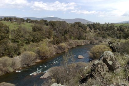 Imagen de archivo del río Lozoya (Madrid).