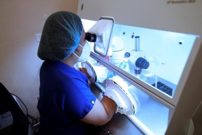 Aquesta tècnica fecunda els òvuls de la dona en un laboratori.