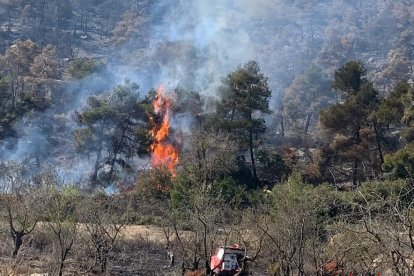 El miércoles se produjo un avivamiento en la zona afectada.