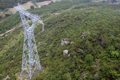 Una torre d'una línia d'alta tensió d'Endesa a l'Alt Penedès.