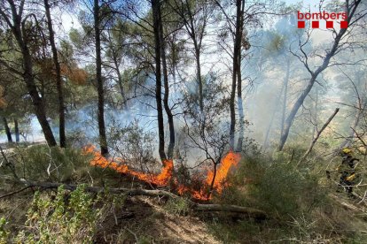 Estabilitzen un incendi forestal a Móra la Nova