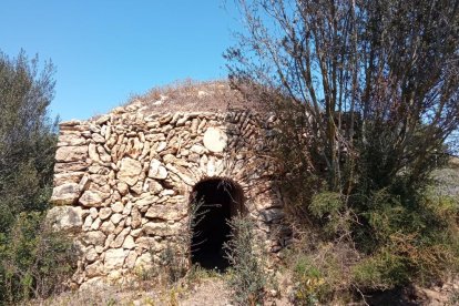 El proyecto va a cargo de la empresa Limonium