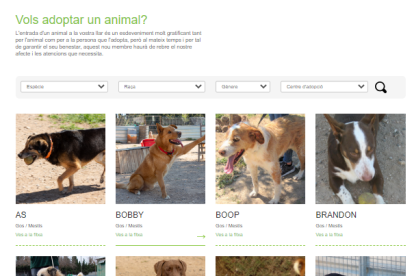 Imatge web Benestar Animal.