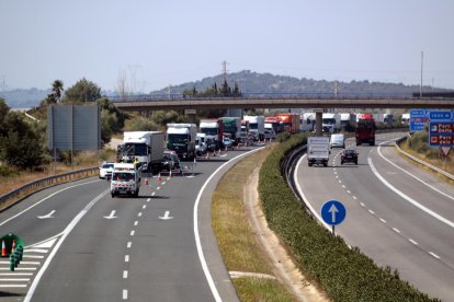 La cua que s'ha format al punt quilomètric 317 de l'AP-7 en sentit nord, durant el control de mobilitat que han fet els Mossos a l'àrea de servei del Baix Ebre.