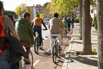 Una imagen del carril bici.