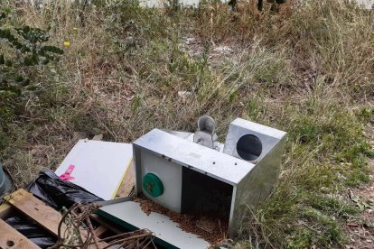 Imagen de una de los varios destrozos que las colonias de gatos ferales han sufrido los últimos meses.