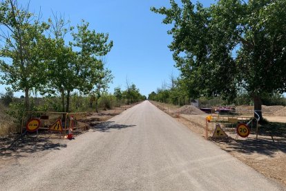 Pla general del vial que dona accés a la desembocadura del riu Ebre.