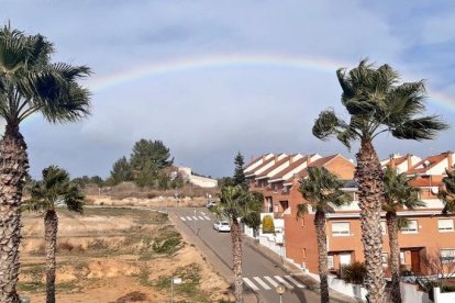 El vent sobre unes palmeres a Valls