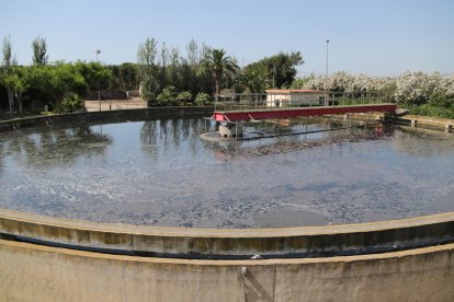 Pla general d'una de les piscines de les instal·lacions d'Aigües de Reus.