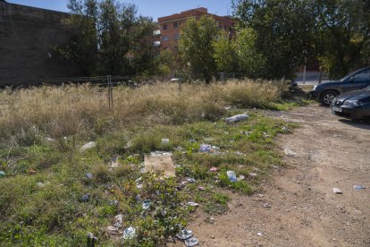 La zona está llena de basura y plantas muy altas que ayudan a la proliferación de animales.