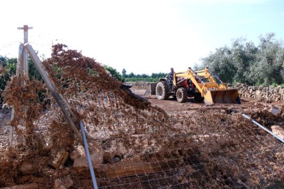 Pla obert del pagès d'Alcanar, Josep Sancho, treballant en la restauració de la seva finca amb una tanca tombada pels aiguats en primer pla.