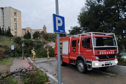 Imagen de archivo de afectaciones en arbolados a causa del viento.