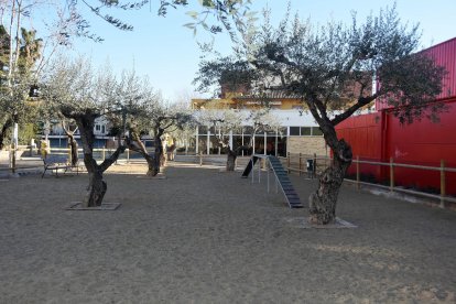 Imagen del estado actual del espacio de socialización de animales de compañía de la calle Pompeu Fabra.