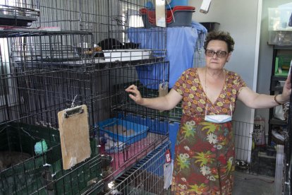 Imagen de Güell en la casita|caseta donde tienen las jaulas de gatos una sobre la otra por falta de espacio.