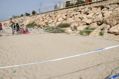 Plan general del espacio delimitado de la playa del Miracle de Tarragona en el cual hay una posta de huevos de tortuga alelada.