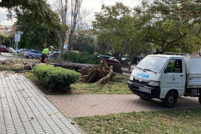 Los efectos del viento en Salou.